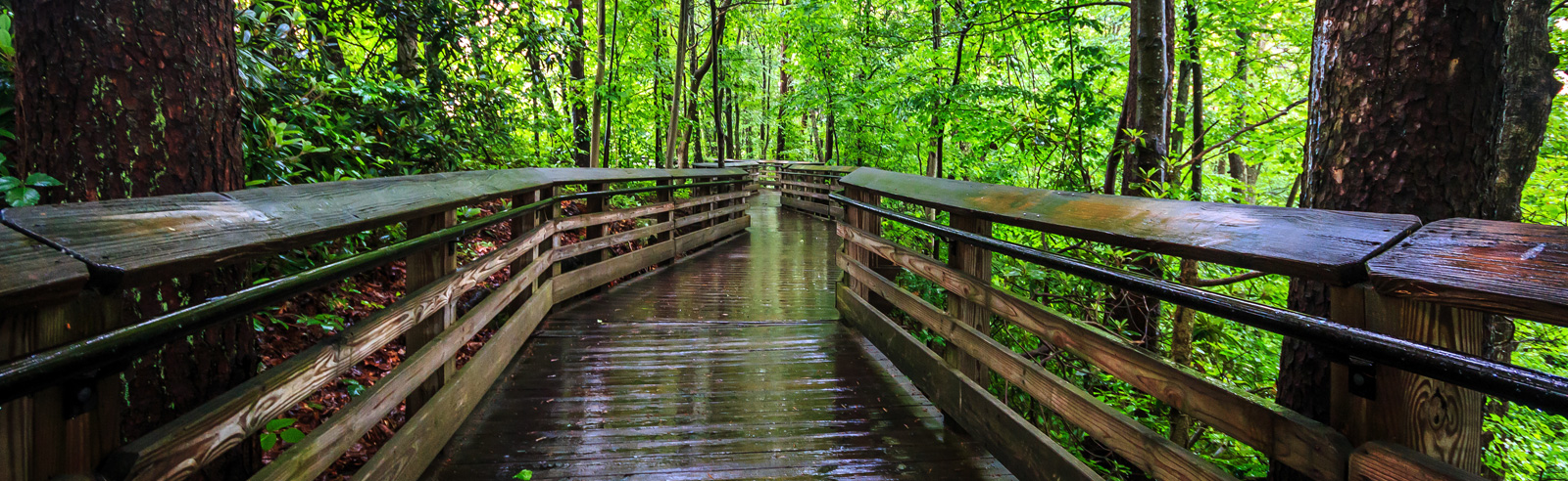 How to Get Preapproved