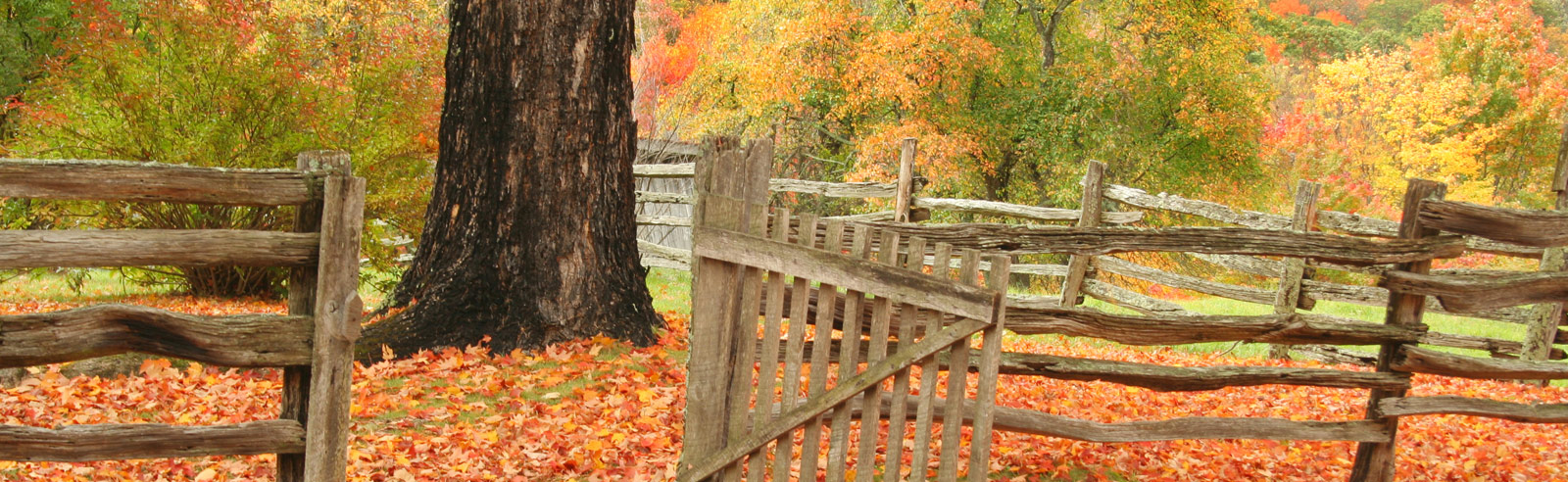 Beautiful Fall Day in West Virginia