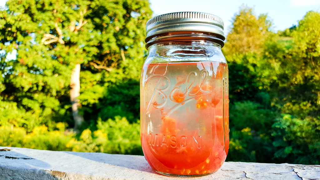 Fermenting tomato seeds
