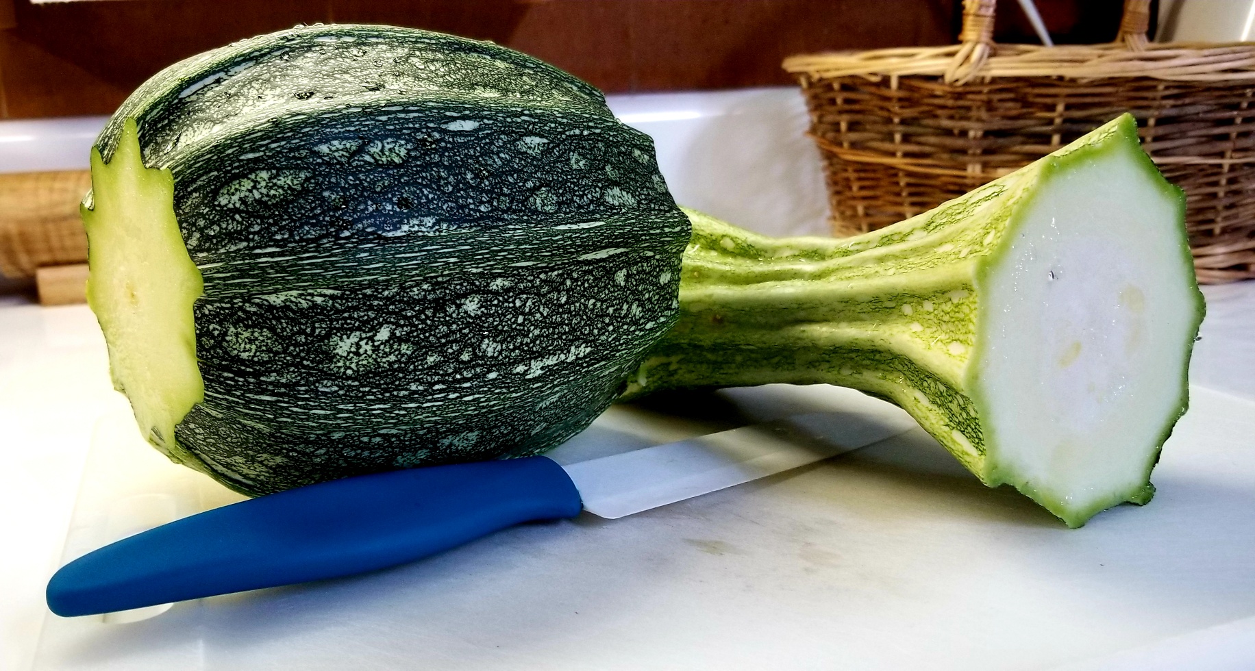 Costata Romanesco Zucchini
