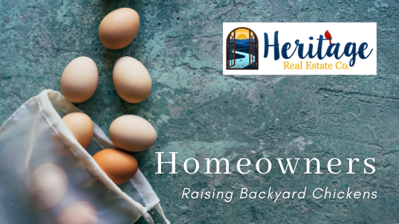 Raising Backyard Chickens - Heritage Real Estate Co.