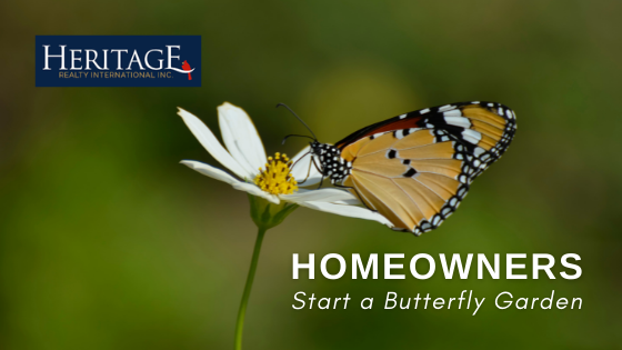 Start a Butterfly Garden - Homeowners- Heritage Realty International Inc.