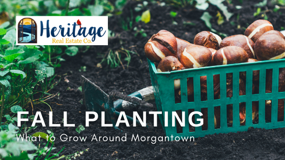 Fall Planting - Morgantown, WV - Heritage Real Estate Co.