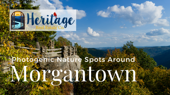 Nature Photography - Morgantown, WV - Heritage Real Estate Co.