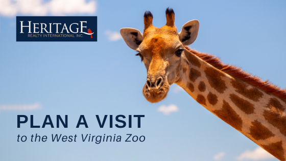 Visit Hovatter's Wildlife Zoo - Heritage Realty International Inc.