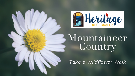 Wildflower Walk - Morgantown, WV - Heritage Real Estate Co.